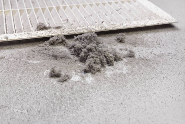 Best General Air Duct Cleaning  in Carrollton, GA