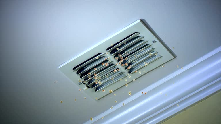 Best HVAC Air Duct Cleaning  in Carrollton, GA
