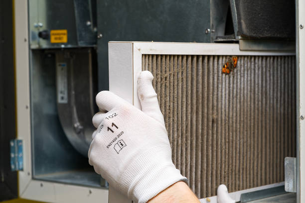Best Affordable Duct Cleaning Services  in Carrollton, GA
